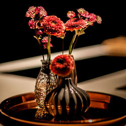 Close-up of vase against black background