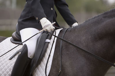 Midsection of person riding horse