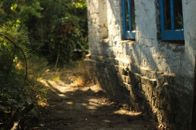 Footpath amidst buildings seen through window