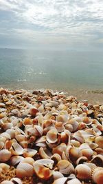 Close-up of pebbles on beach against sky