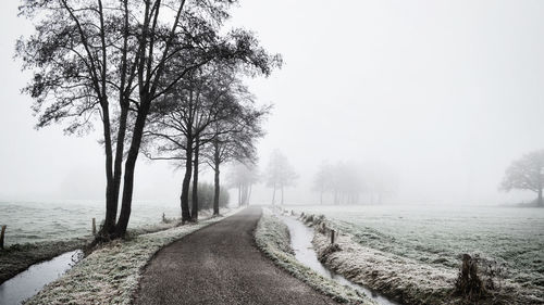 Road by trees against sky during winter