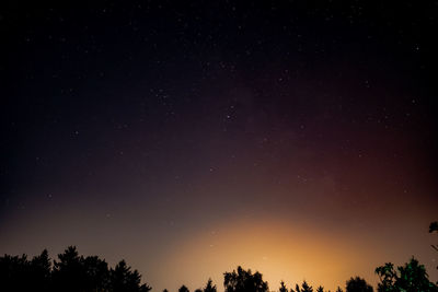 Low angle view of silhouette trees against star field at night