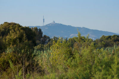 Scenic view of trees and mountains against sky