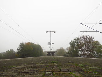 Trees against clear sky