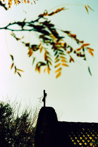 Low angle view of silhouette tree against clear sky