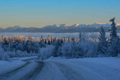 Snow covered road by trees against sky during winter