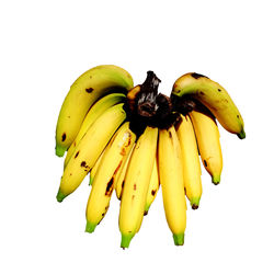 Close-up of bananas against white background