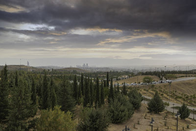 High angle view of trees on landscape against sky