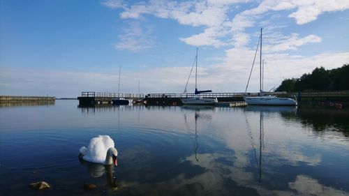 Sailboats moored in lake against sky