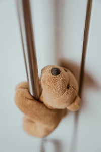 High angle view of stuffed toy on table