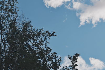 Low angle view of trees against blue sky