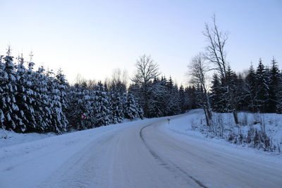 Road amidst snow covered trees against sky