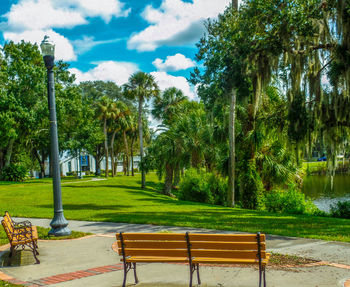 Trees in park