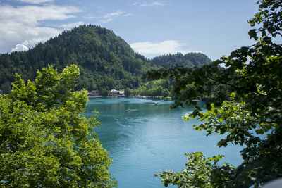 Scenic view of lake in forest against sky