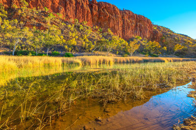 Scenic view of lake by trees on mountain