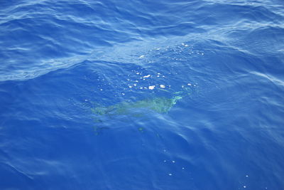 High angle view of blue sea