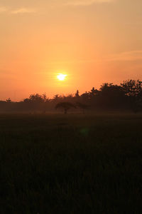 Scenic view of silhouette field against sky during sunset