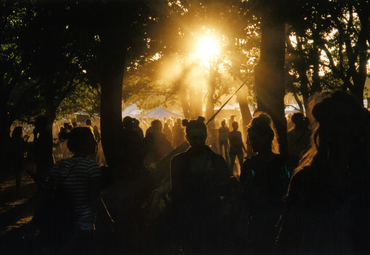 group of people, tree, real people, men, plant, crowd, nature, event, silhouette, smoke - physical structure, people, women, lifestyles, heat - temperature, outdoors, leisure activity, night, burning, rear view, festival