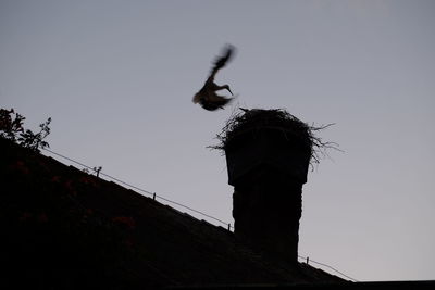 Low angle view of birds perching on wall