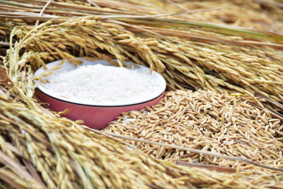 Close-up of rice in bowl on hay bale with seeds