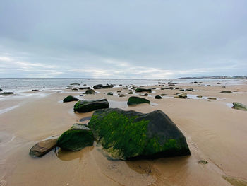 Beach photography 