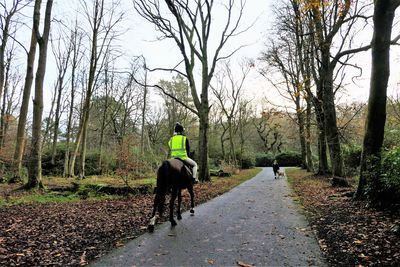 Rear view of woman riding a horse on footpath.