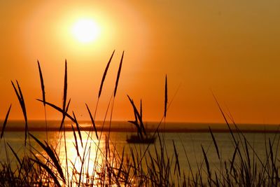 Scenic view of sunset over sea