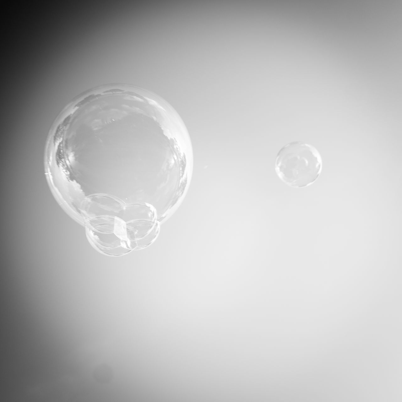 circle, bubble, sphere, transparent, mid-air, no people, studio shot, indoors, fragility, nature, copy space, light, shape, black and white, geometric shape, soap sud, reflection, close-up, glass