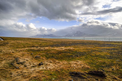 Scenic view of field against sky