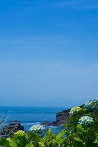 Scenic view of sea against blue sky