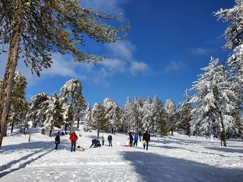People on snow covered trees against sky