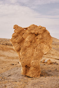 Rock formations in desert against sky