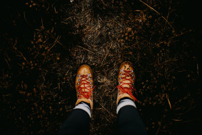 Low section of person standing on field