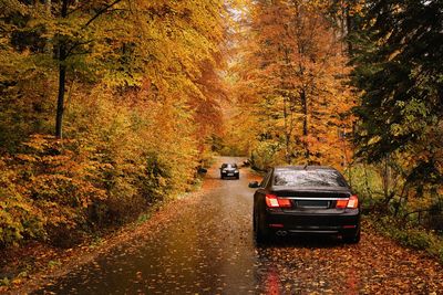 Cars on road in forest during autumn