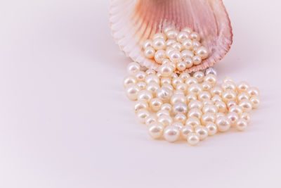 Close-up of seashell on white background