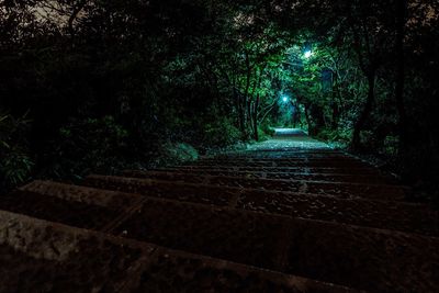 Walkway amidst trees in forest