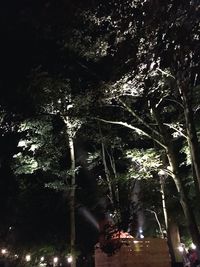 Low angle view of statue against trees at night
