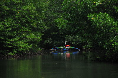 Boat in the mangrove forest