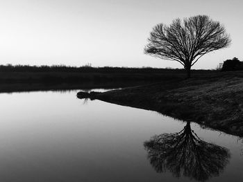 Reflection of trees in calm lake