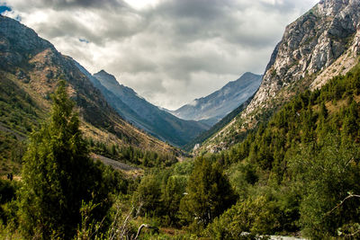 mountain