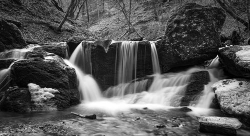 View of waterfall in forest