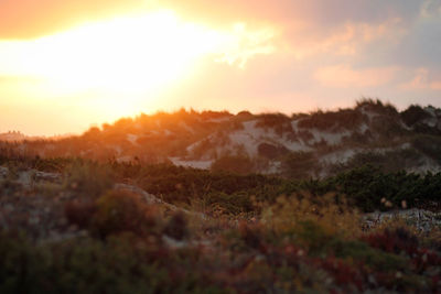 Scenic view of landscape against sky at sunset