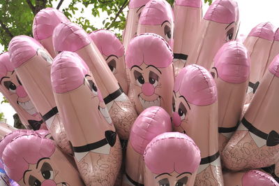 Close-up view of pink flowers