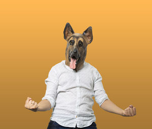 Portrait of dog standing against yellow background