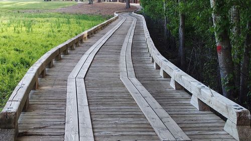 View of boardwalk along plants