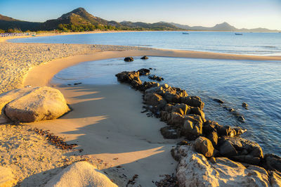 Scenic view of beach