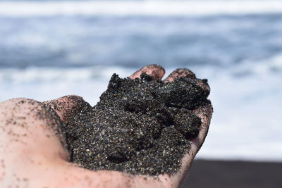 Close-up of hand holding rock