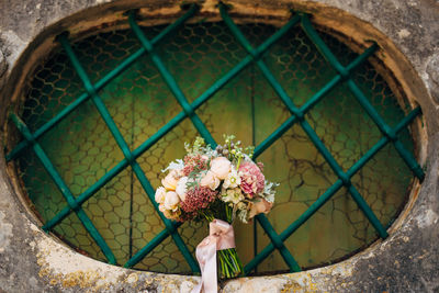 Close-up of flowering plant against window