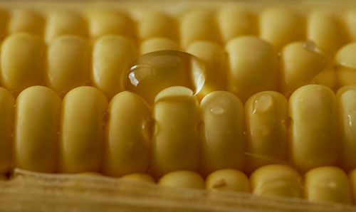 Close-up of candies