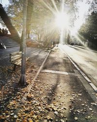 Road passing through forest